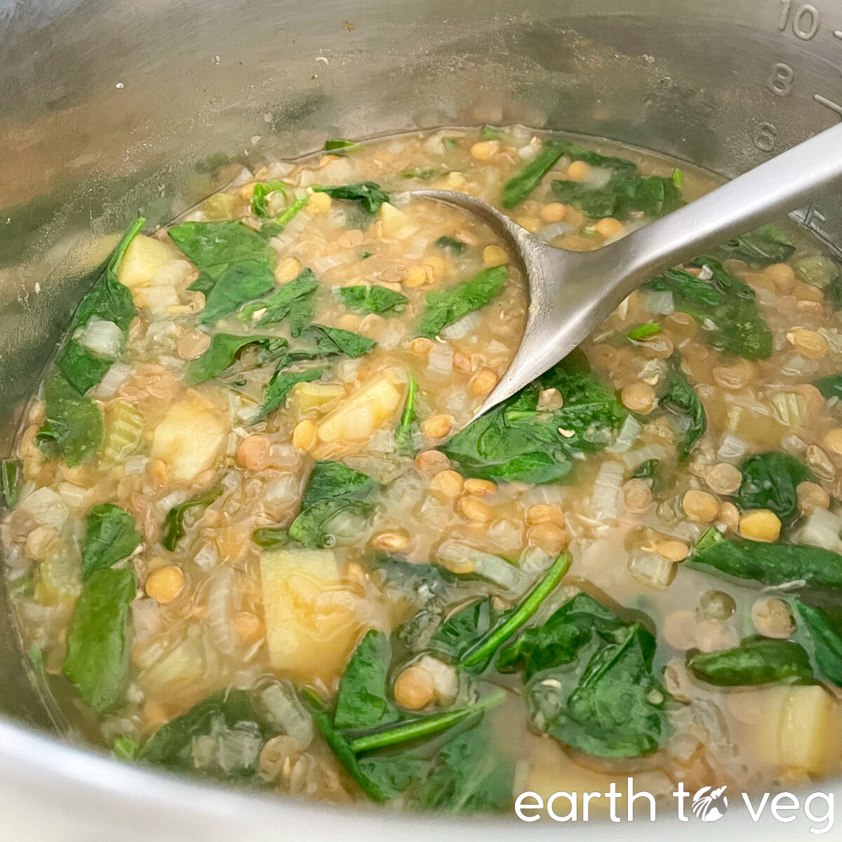 vegan instant pot lentil soup