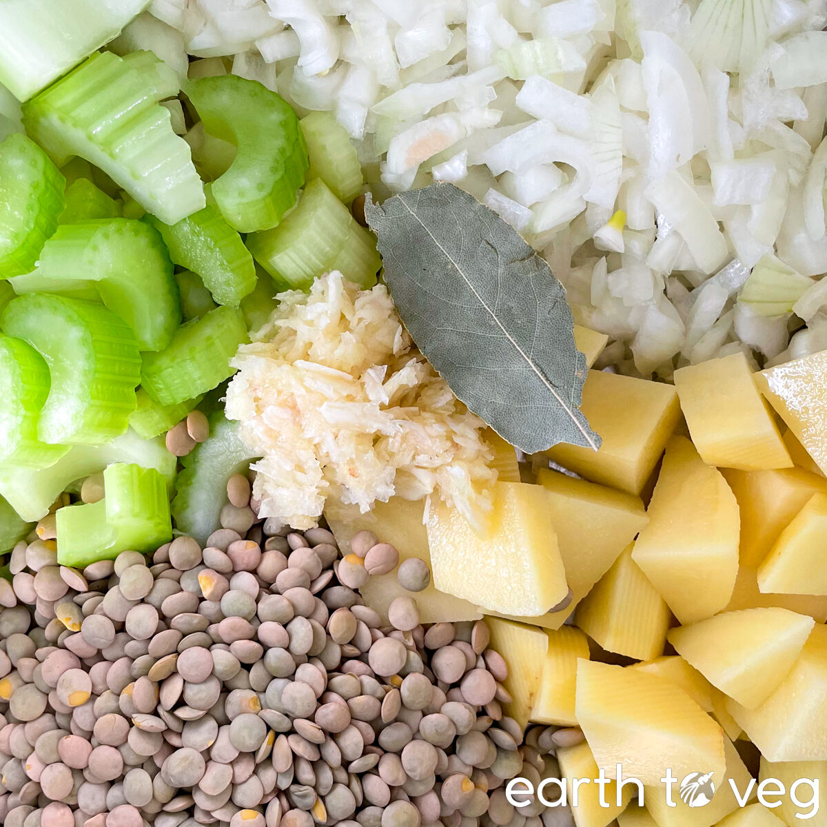 lentil soup ingredients