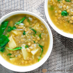 vegan green lentil soup