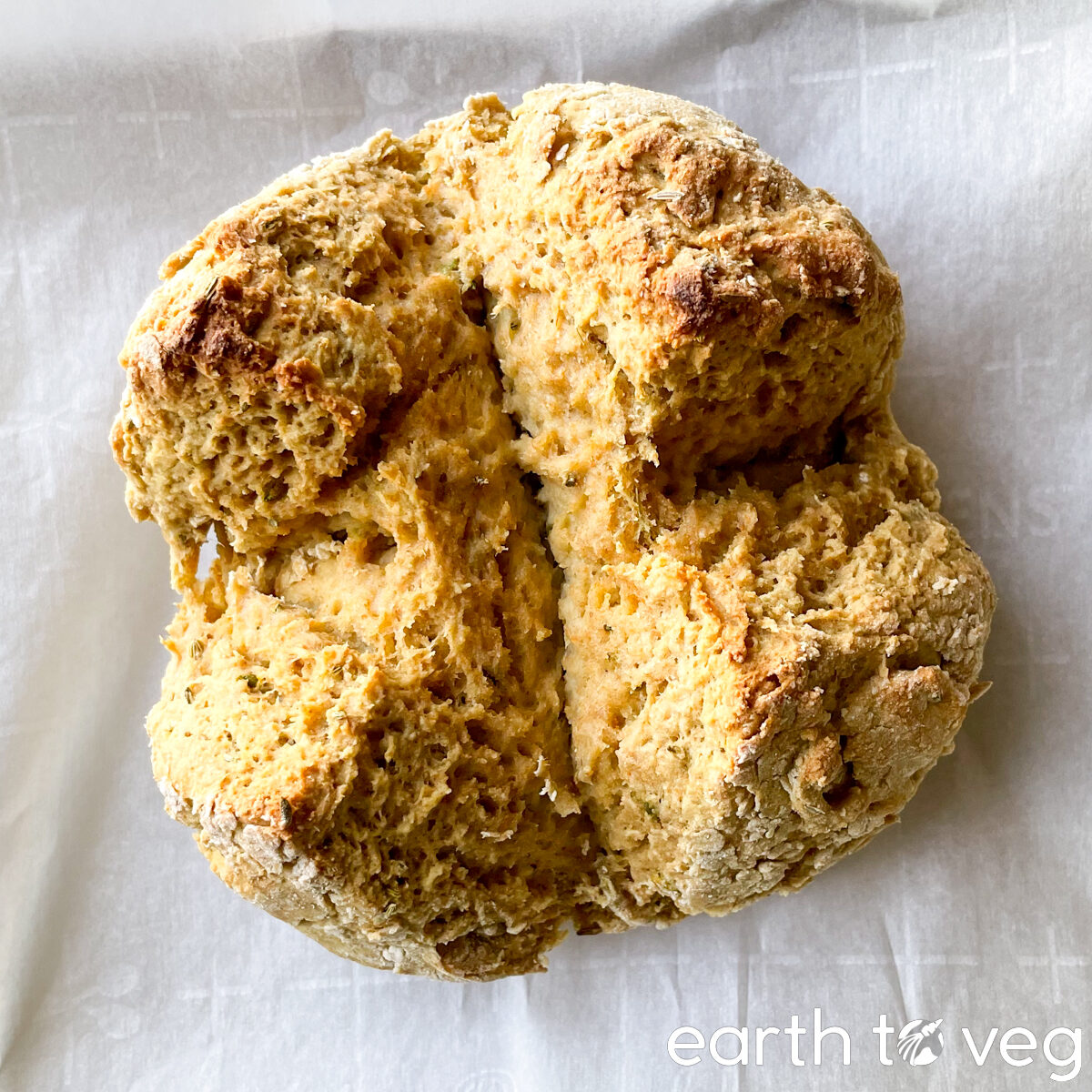 Top down view of freshly baked loaf of fennel soda bread on parchment paper.