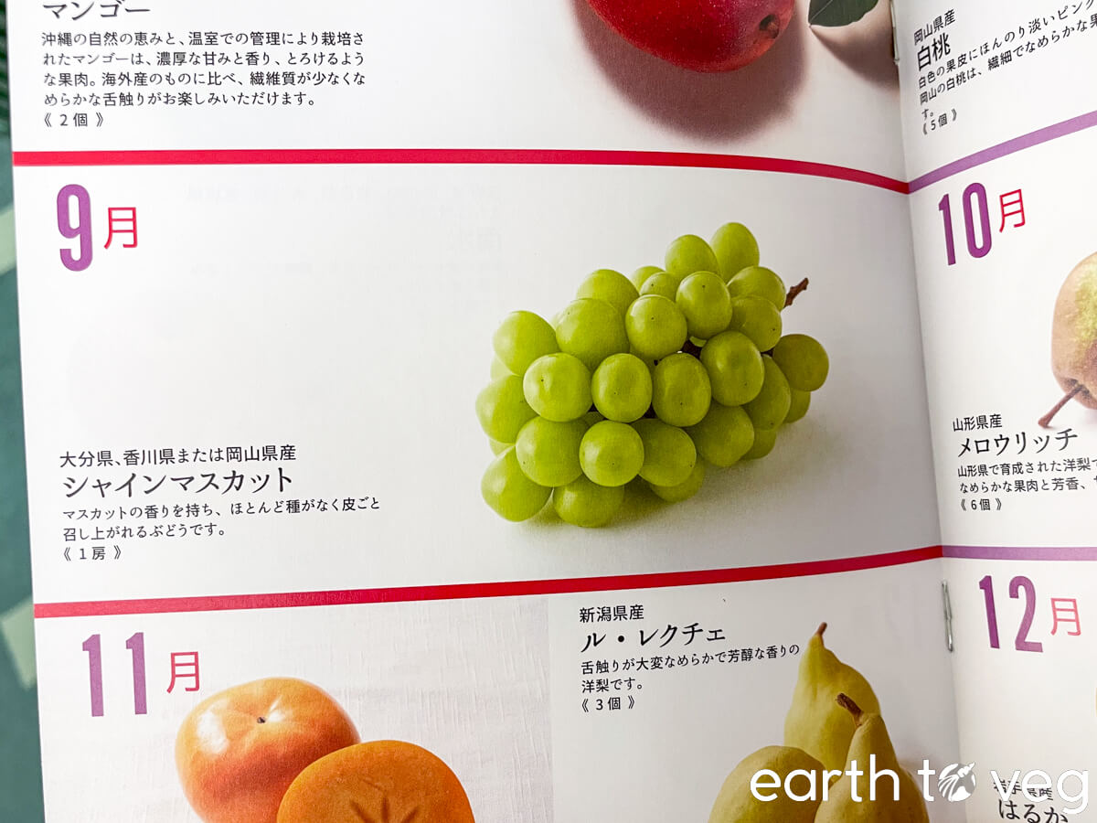 A Japanese pamphlet showing the growing season of shine muscat grapes.