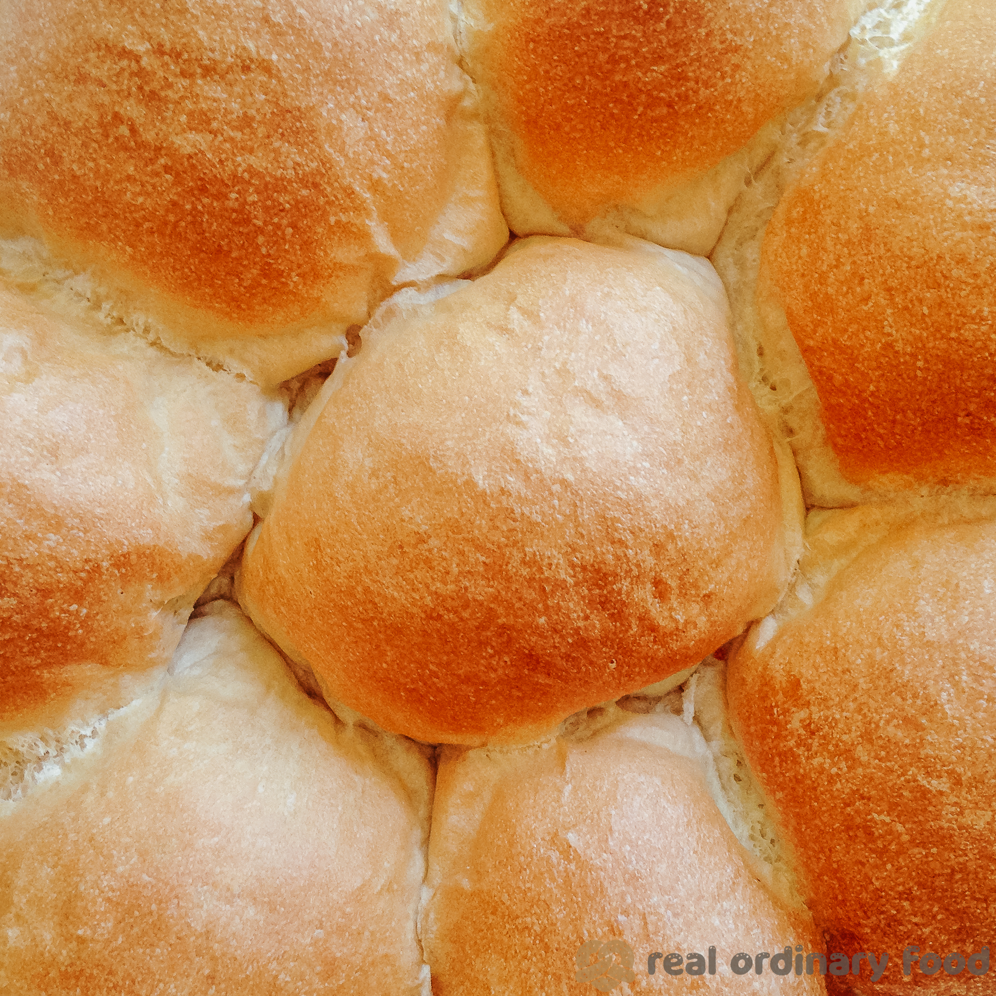 vegan japanese milk bread buns