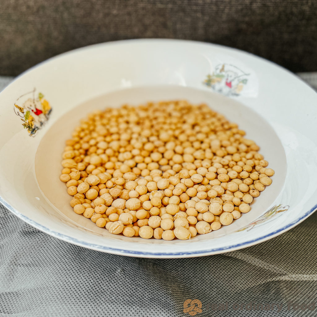 soaking dry soybeans