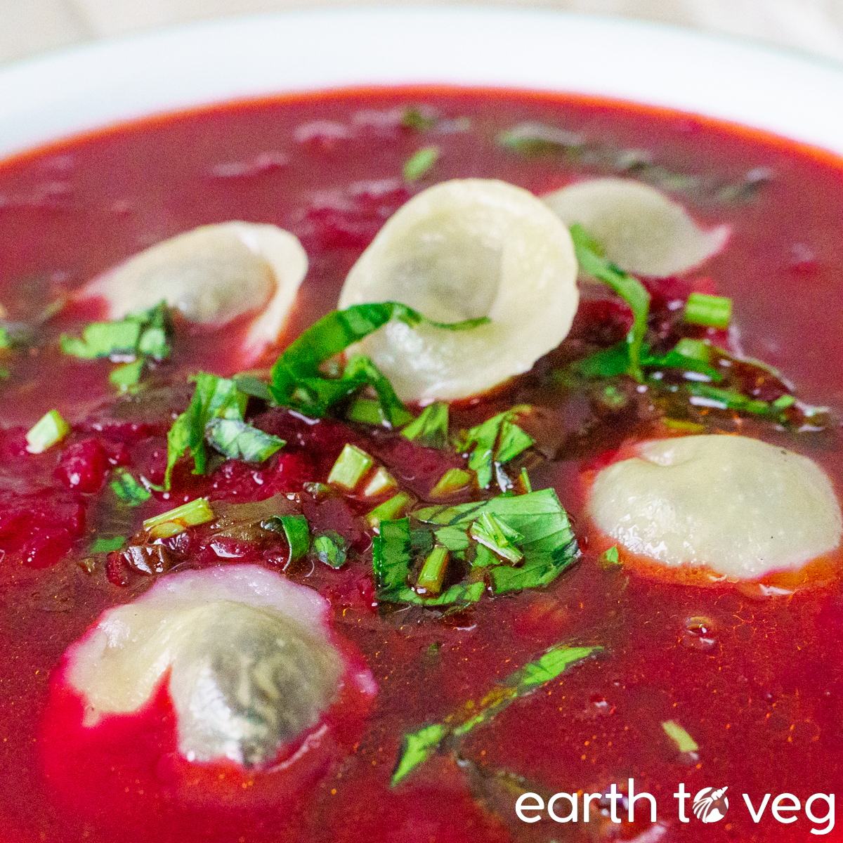 christmas borscht with vushka dumplings