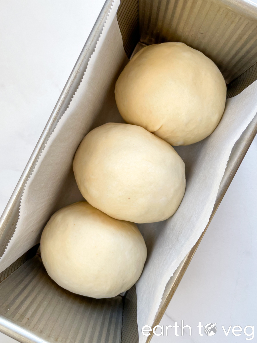 raw bread dough before final proof