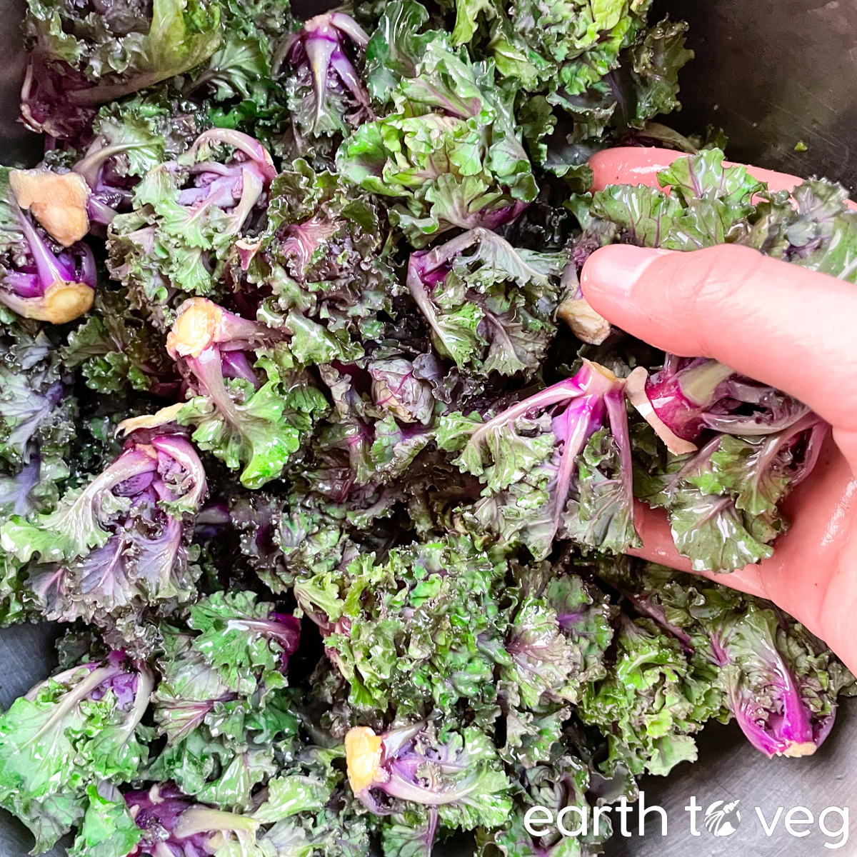 massaging kalettes with oil and seasoning