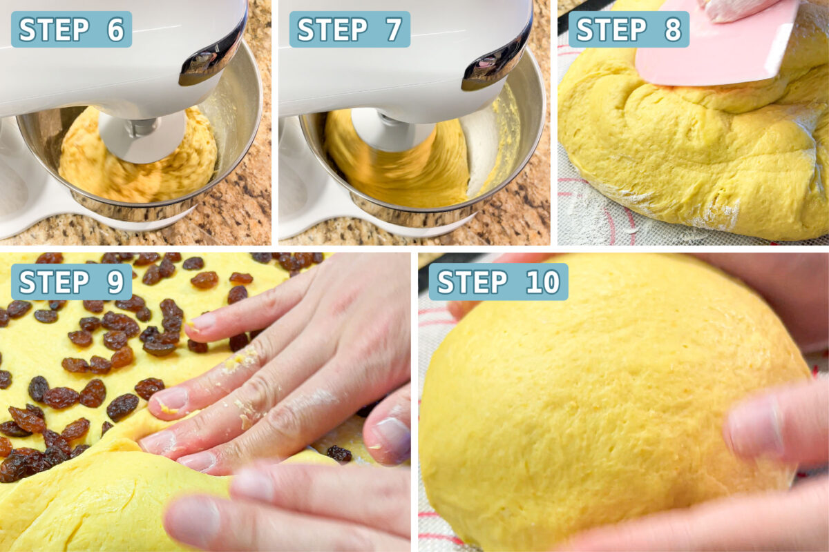 the paska dough is kneaded int the stand mixer, then optional raisins are folded in.