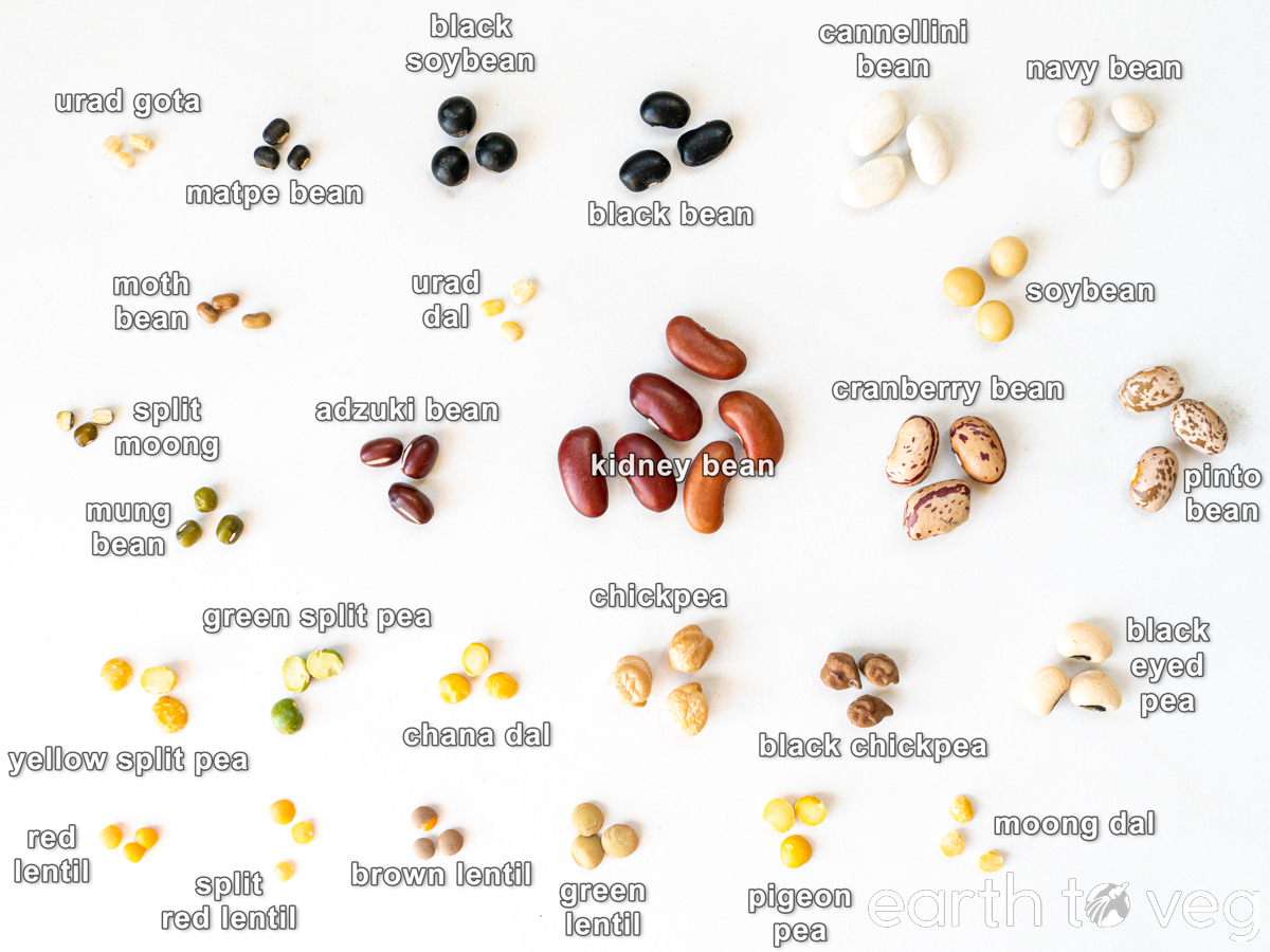 27 types of beans and lentils are labelled and pictured in front of a white background.