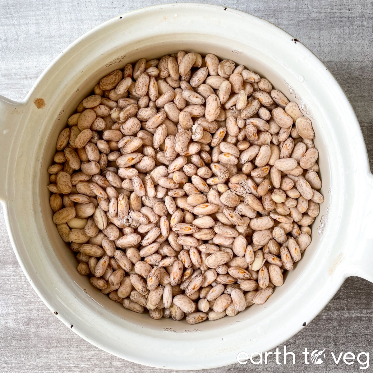 Soaked and drained pinto beans are sitting in a Dutch oven on a grey countertop.