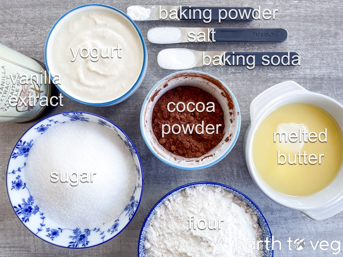 A top-down view of the ingredients for blender chocolate cake on a grey countertop.