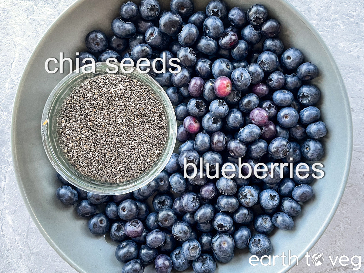 Chia seeds and blueberries resting in a grey bowl.