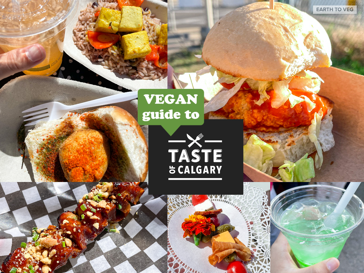 Vegan guide to Taste of Calgary 2023 with a collage of past food offerings.