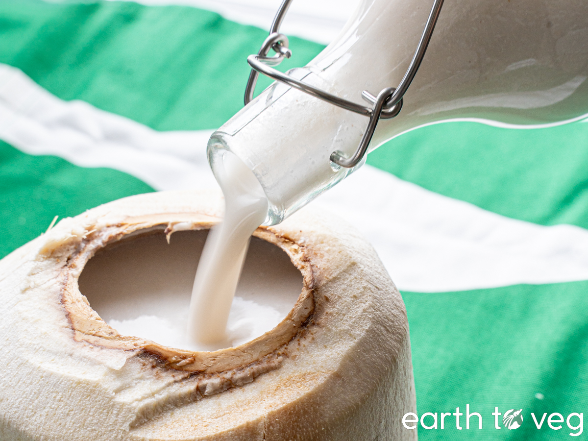 Homemade coconut milk is poured from a stopper bottle into a young coconut.