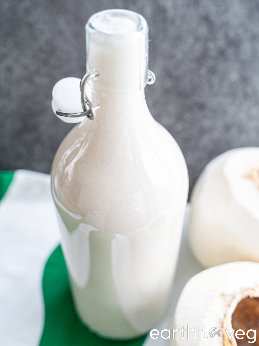 A tall glass bottle of homemade coconut milk stands on a green-white canvas next to two young coconuts.
