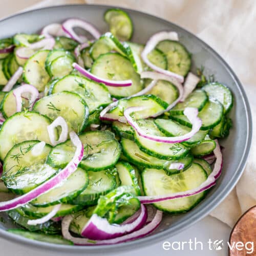 Gurkensalat (German Cucumber Salad with Vinegar) - Earth to Veg