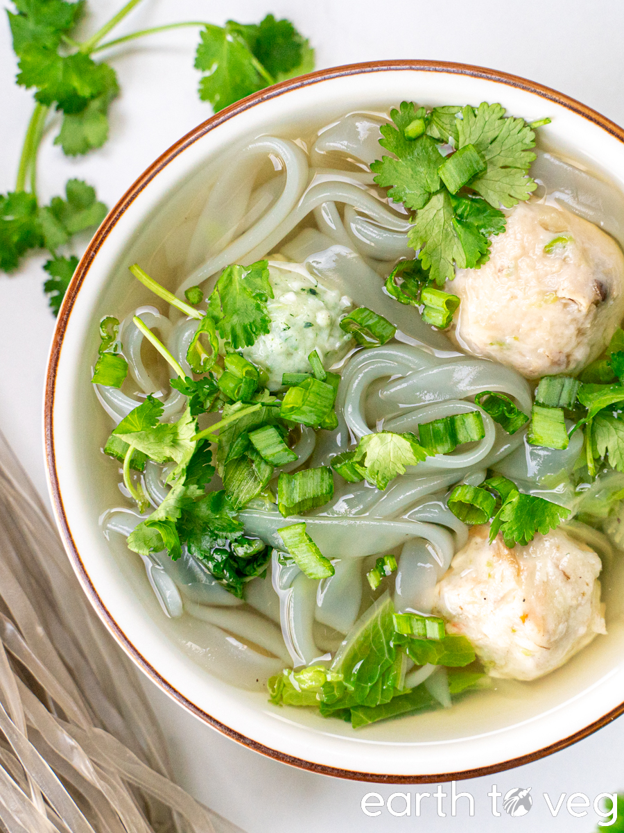 A bowl filled with veggie ball glass noodle soup is topped with chopped cilantro and scallions.