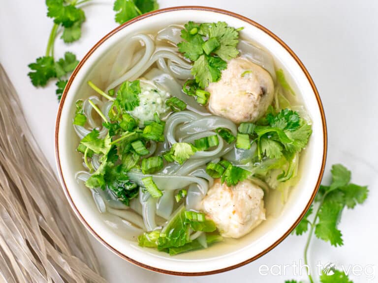 NoFish Ball Noodle Soup (Vegan) Earth to Veg